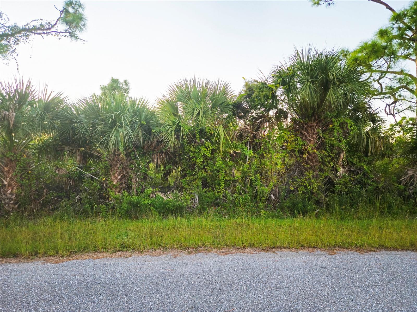 8297 Dimstead St, Port Charlotte, FL 33981 — photo 1 of 1