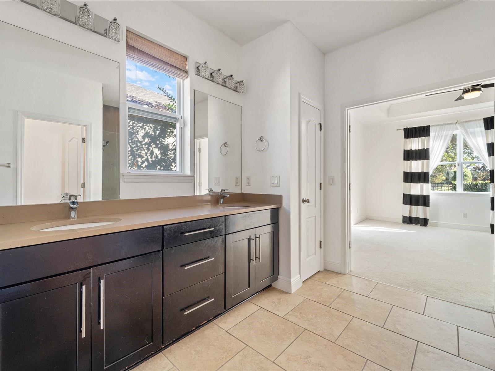 Owner's Bathroom