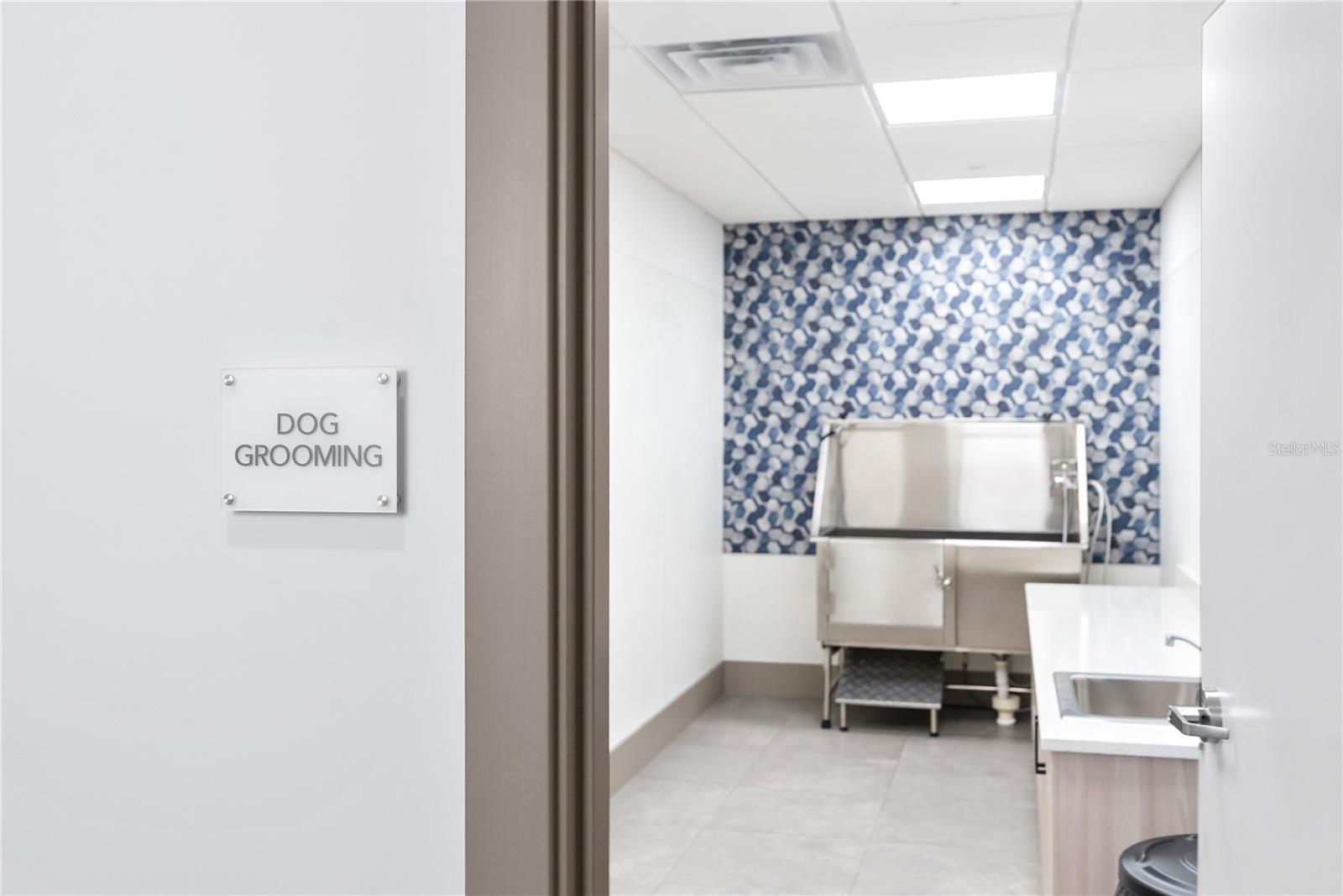 Dog grooming station