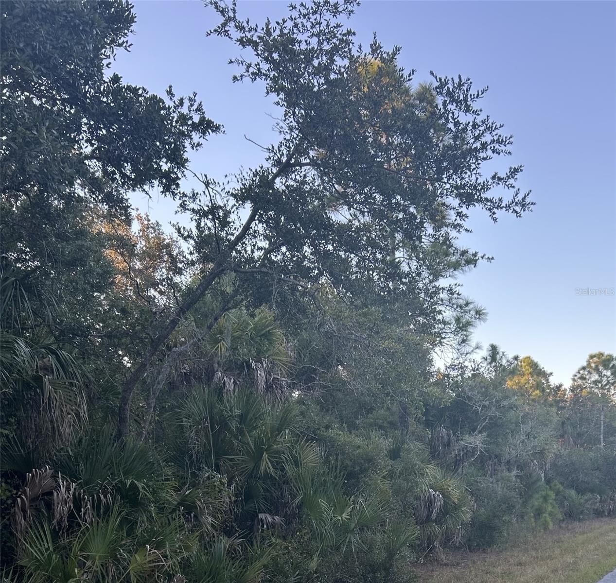 23391 Buckner Ave, Port Charlotte, FL 33980 — photo 1 of 1