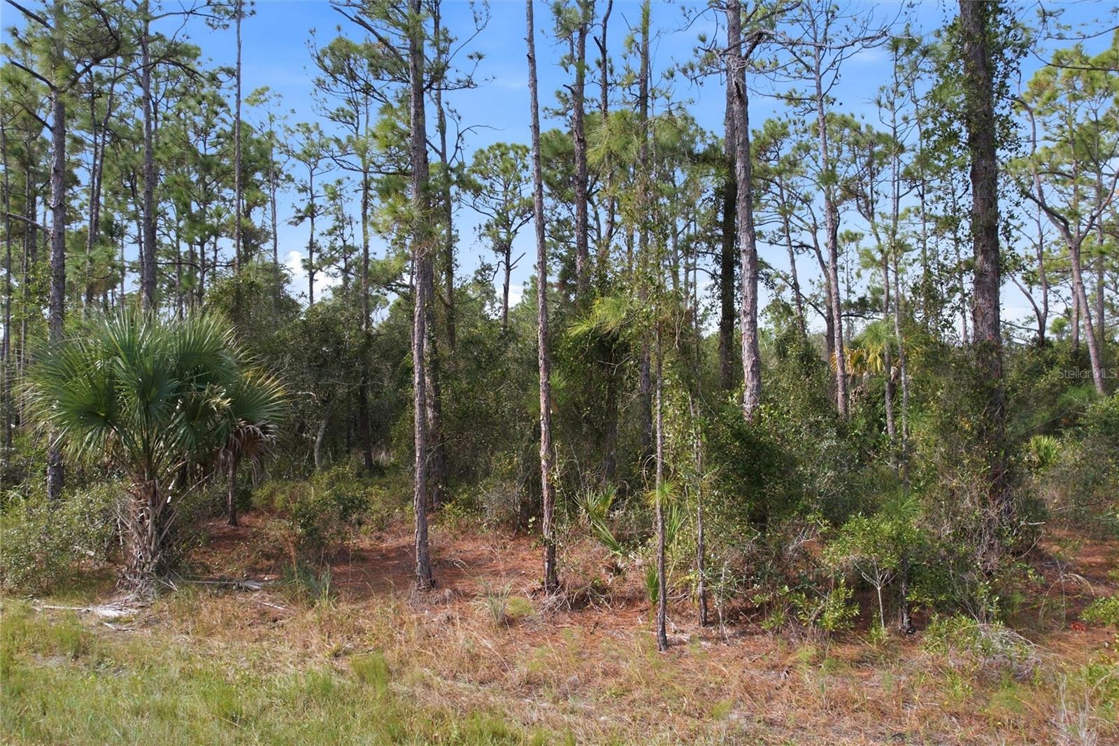 Einstein St, North Port, FL 34291 · MLS# NS1086510 — photo 1 of 1