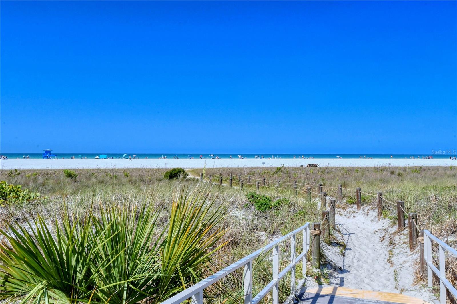 Powdery Quarts Sands of Siesta Key