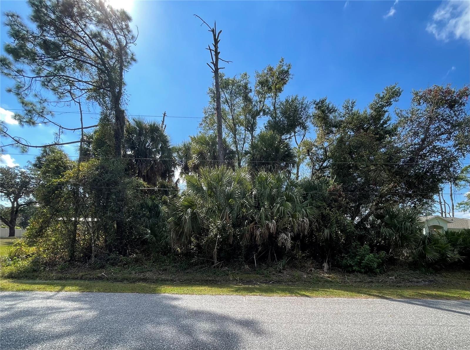 Lot 18 Longwell Ln, North Port, FL 34286 · MLS# C7517663 — photo 1 of 1