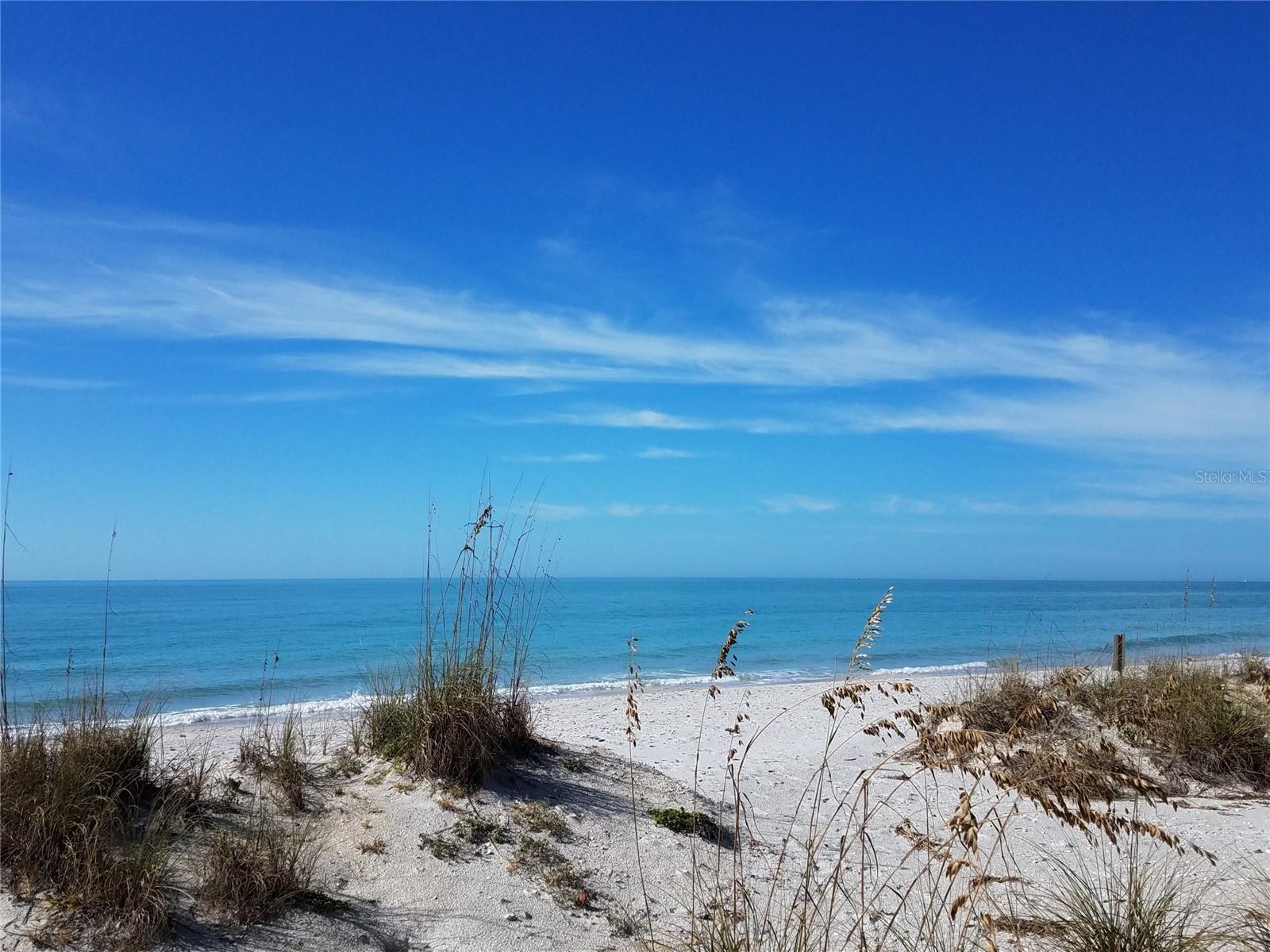 Beach.