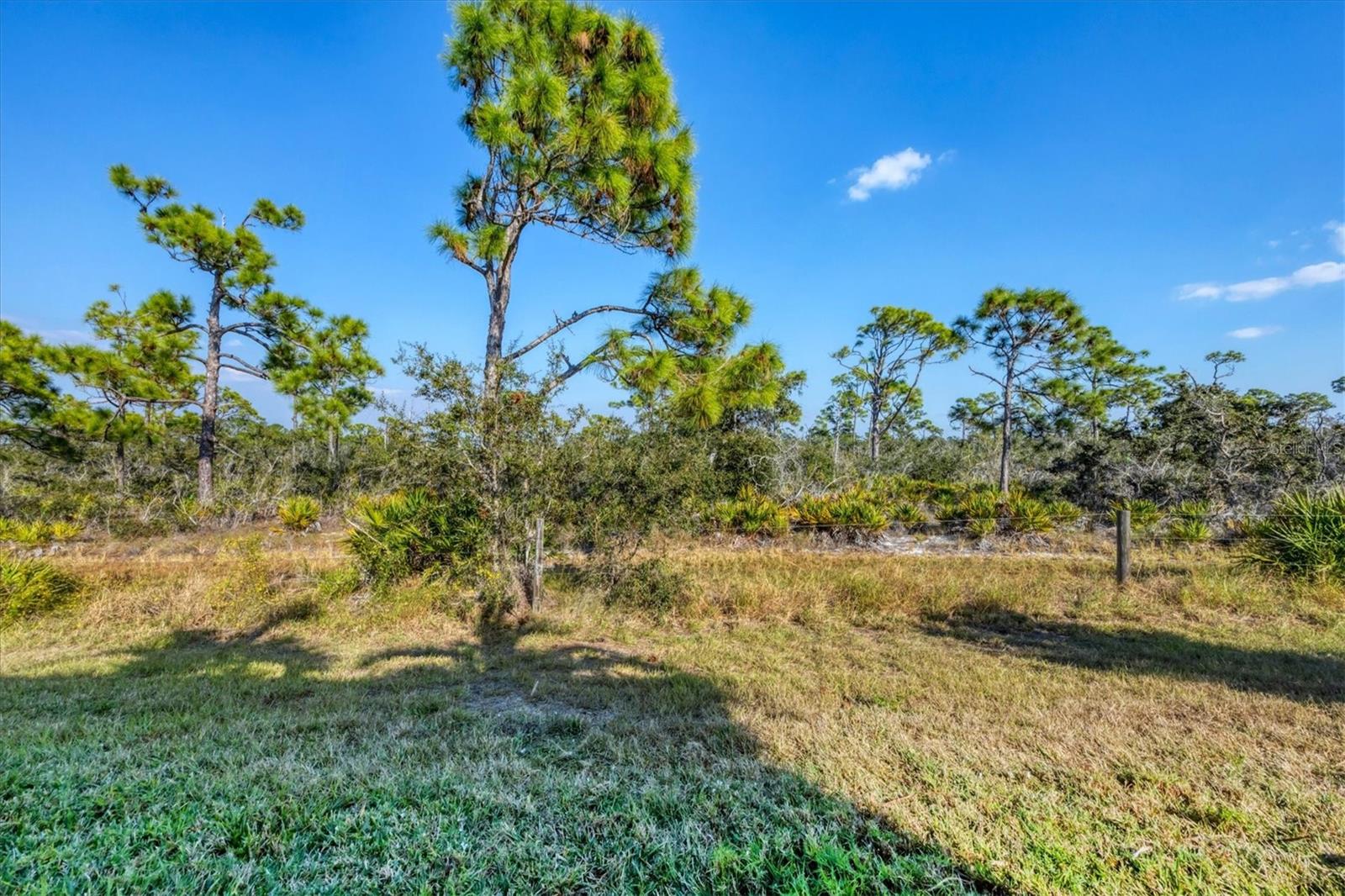 8920 Conch Ave, Placida, FL 33946 — photo 42 of 57