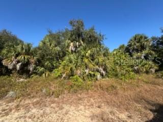 Lot 4 Mattox Cir, North Port, FL 34288 · MLS# C7517971 — photo 1 of 1