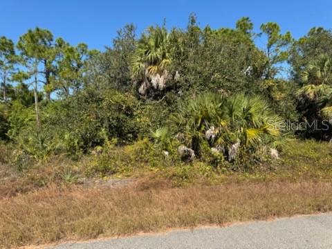 Lot 2 Mattox Cir, North Port, FL 34288 · MLS# C7517973 — photo 1 of 1