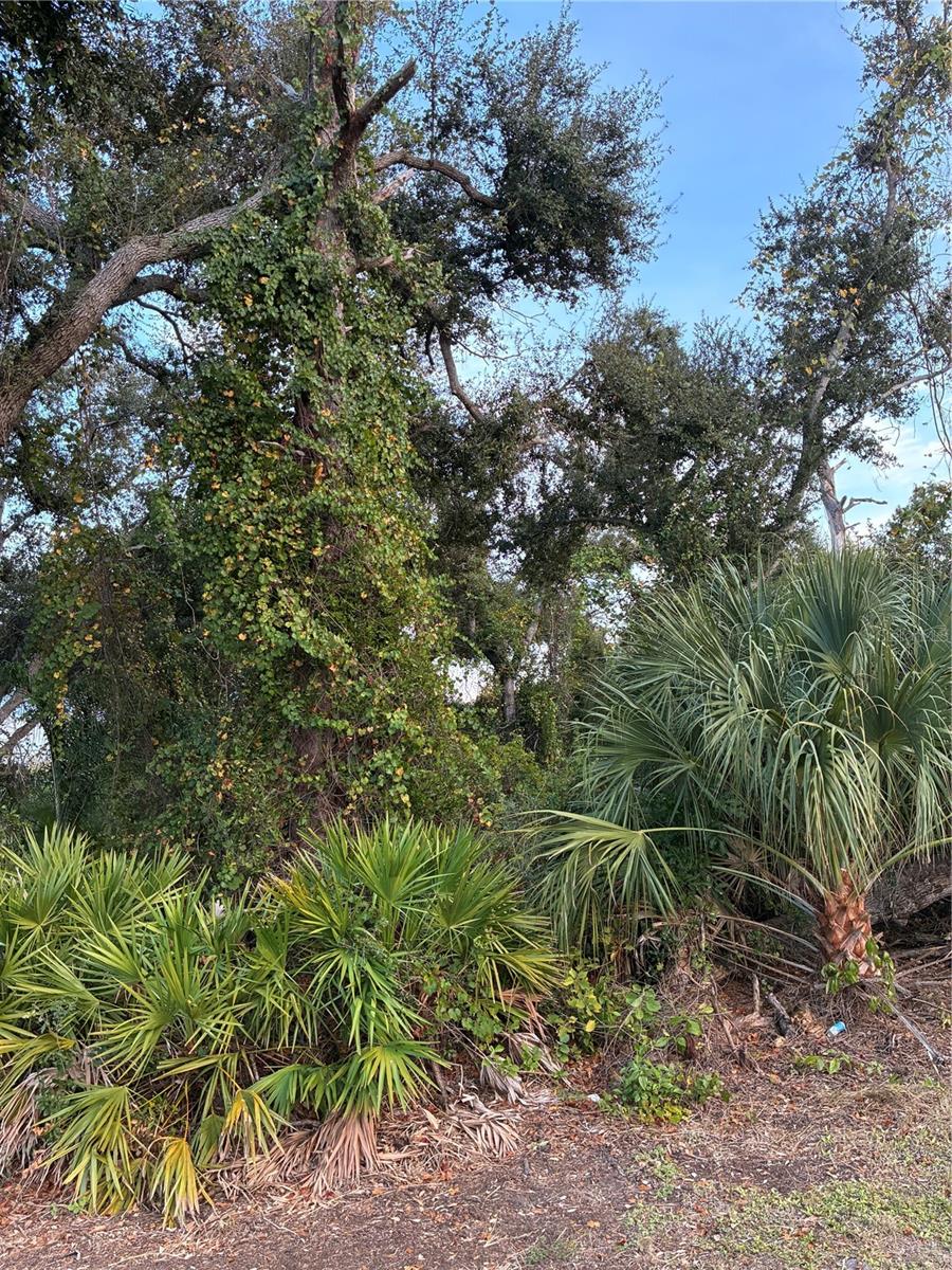 Mendavia Ter, North Port, FL 34286 · MLS# N6141672 — photo 1 of 1