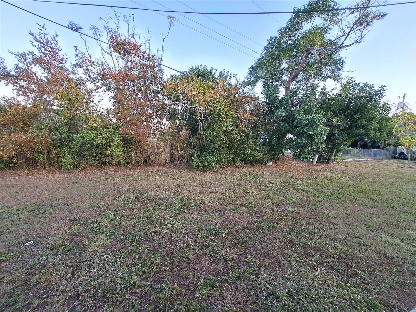 Back Yard view