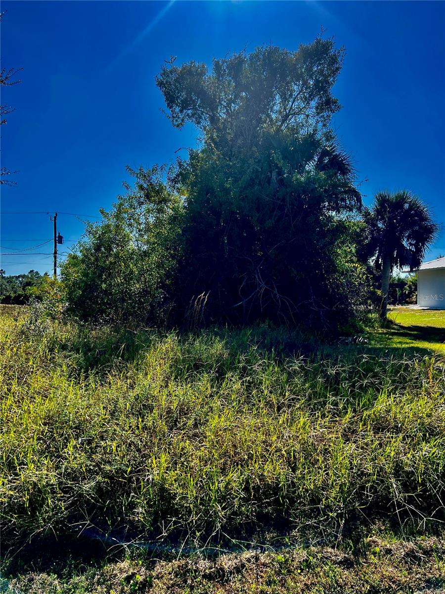 Winstead Ave