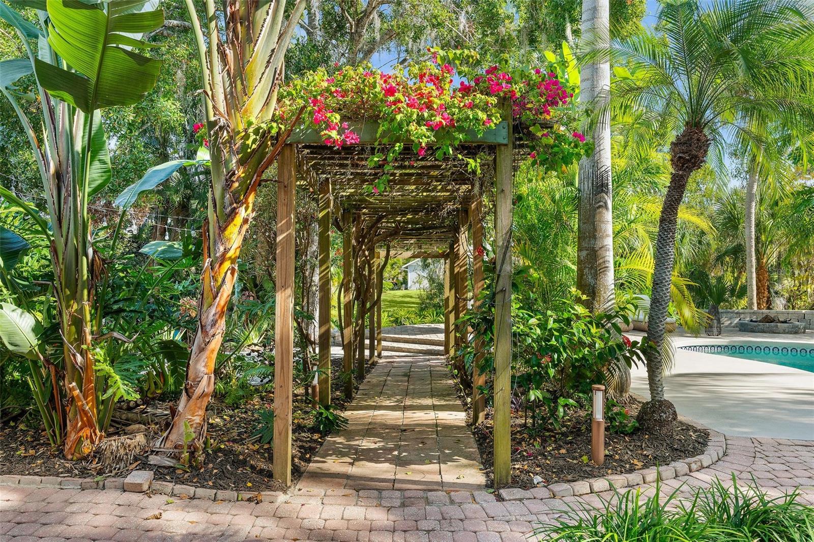 wonder through your private tropical retreat