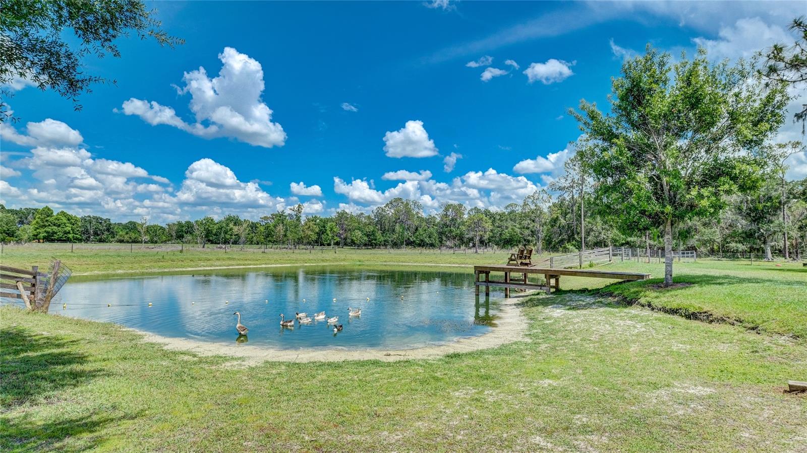 560 Oakford Rd, Sarasota, FL 34240 — photo 4 of 50