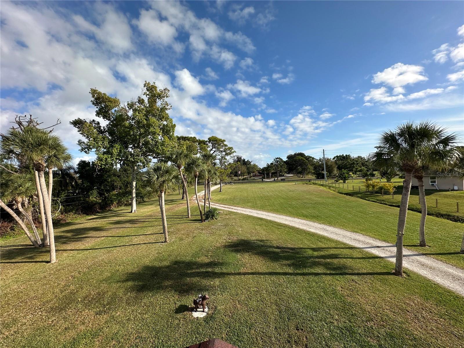Front Yard