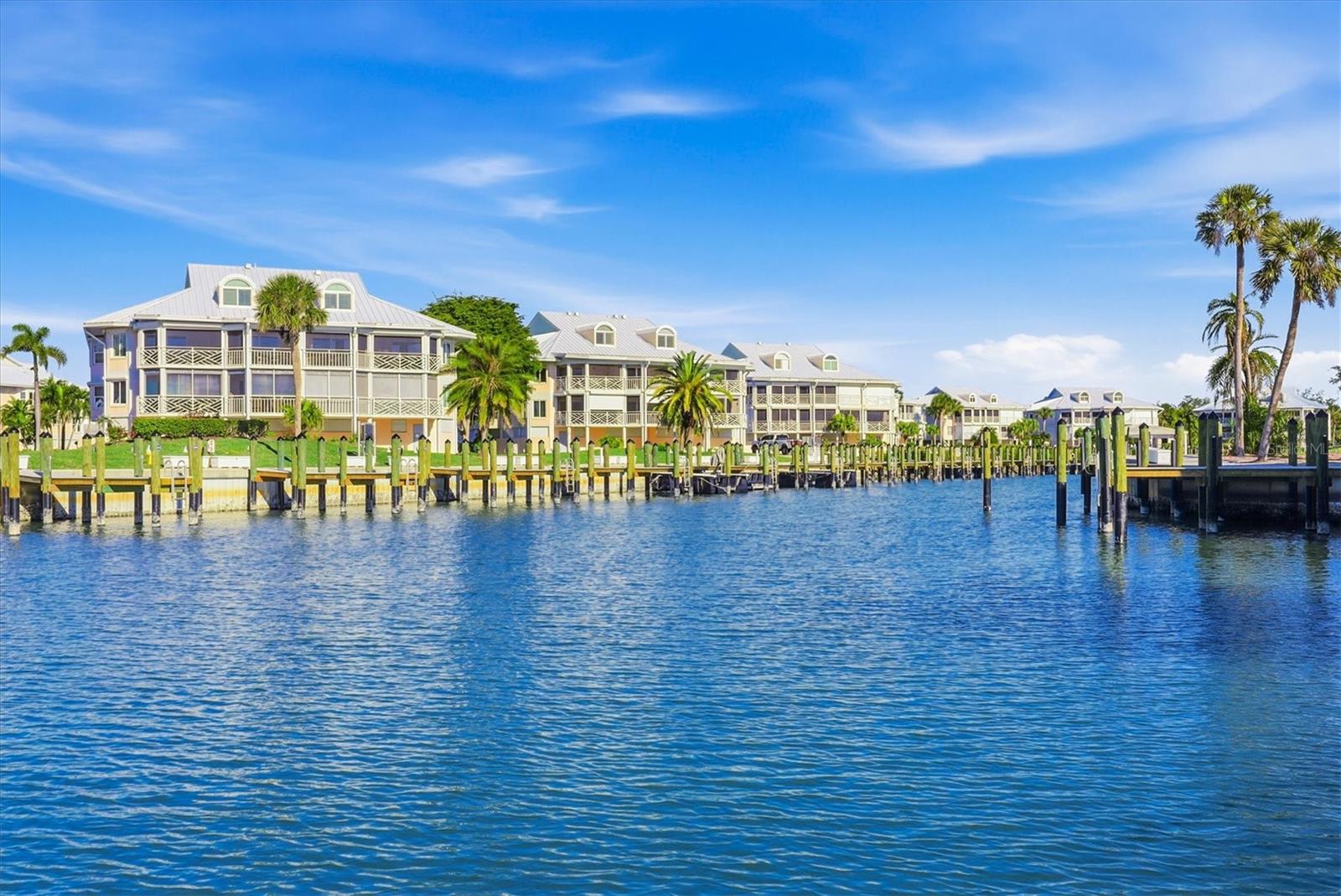 Catch glimpses of manatee & dolphin in the marina