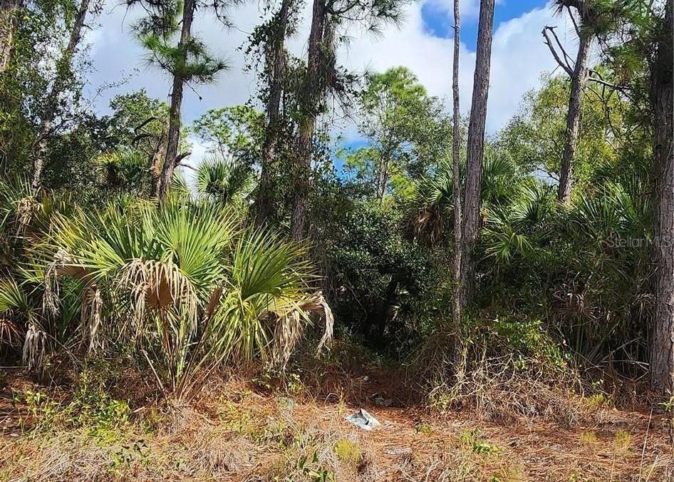 Ananas Rd, North Port, FL 34288 · MLS# C7519623 — photo 1 of 1