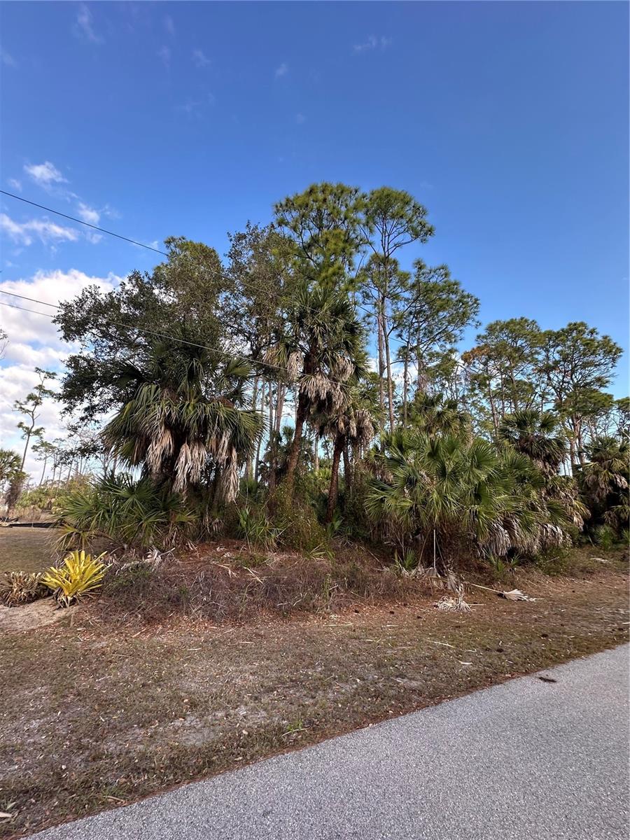 Joann Ter, North Port, FL 34286 · MLS# C7519714 — photo 1 of 1