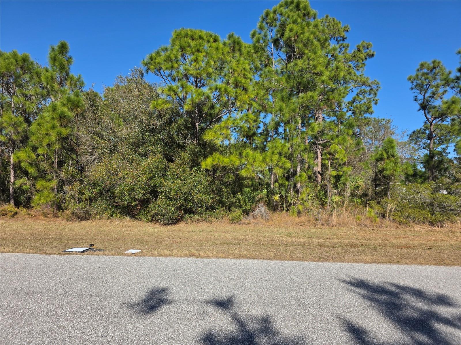 Hornbuckle Blvd, North Port, FL 34291 · MLS# C7519836 — photo 1 of 1
