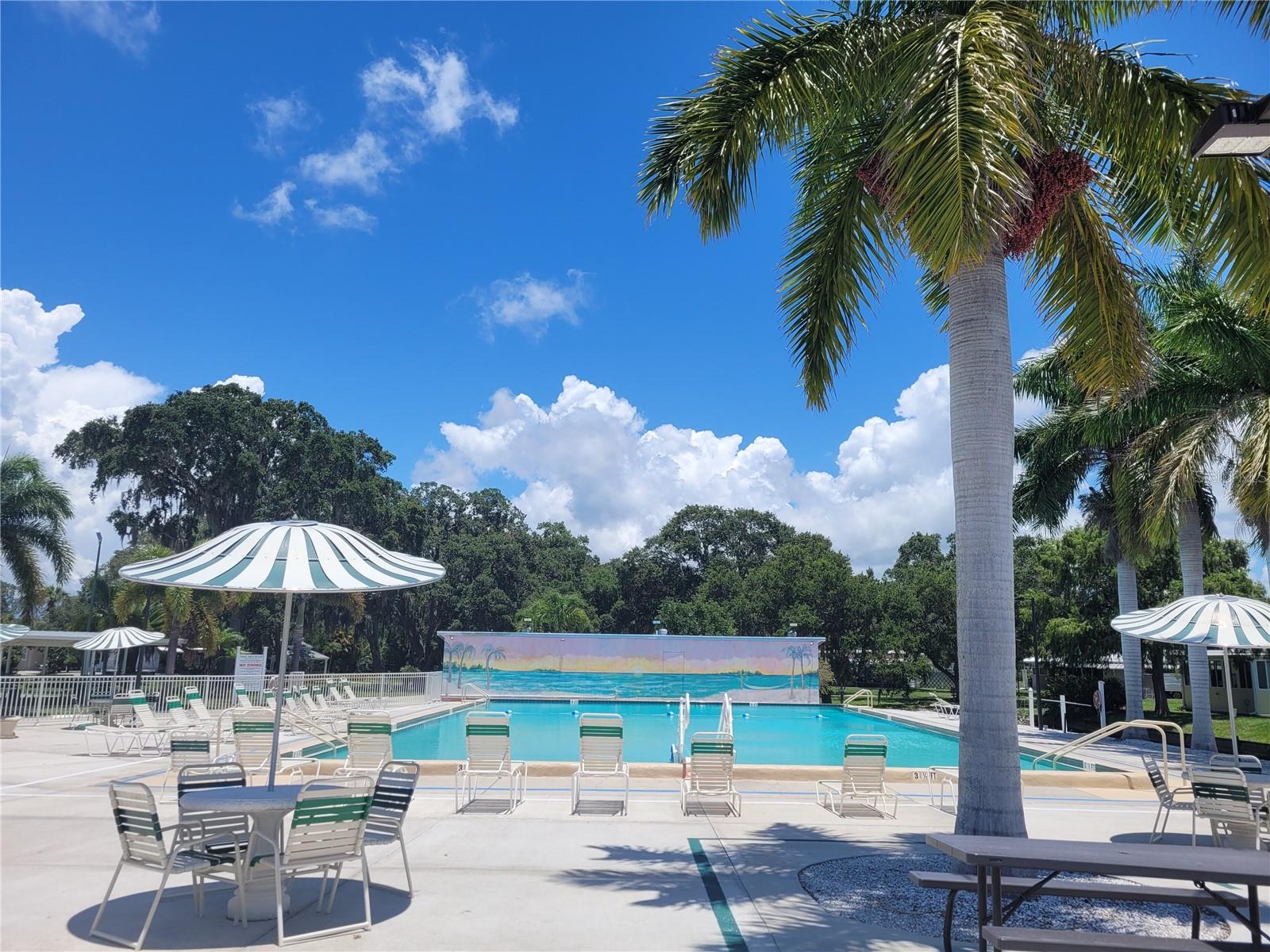 3332 Spanish Oak Ter, Sarasota, FL 34237 — photo 8 of 31