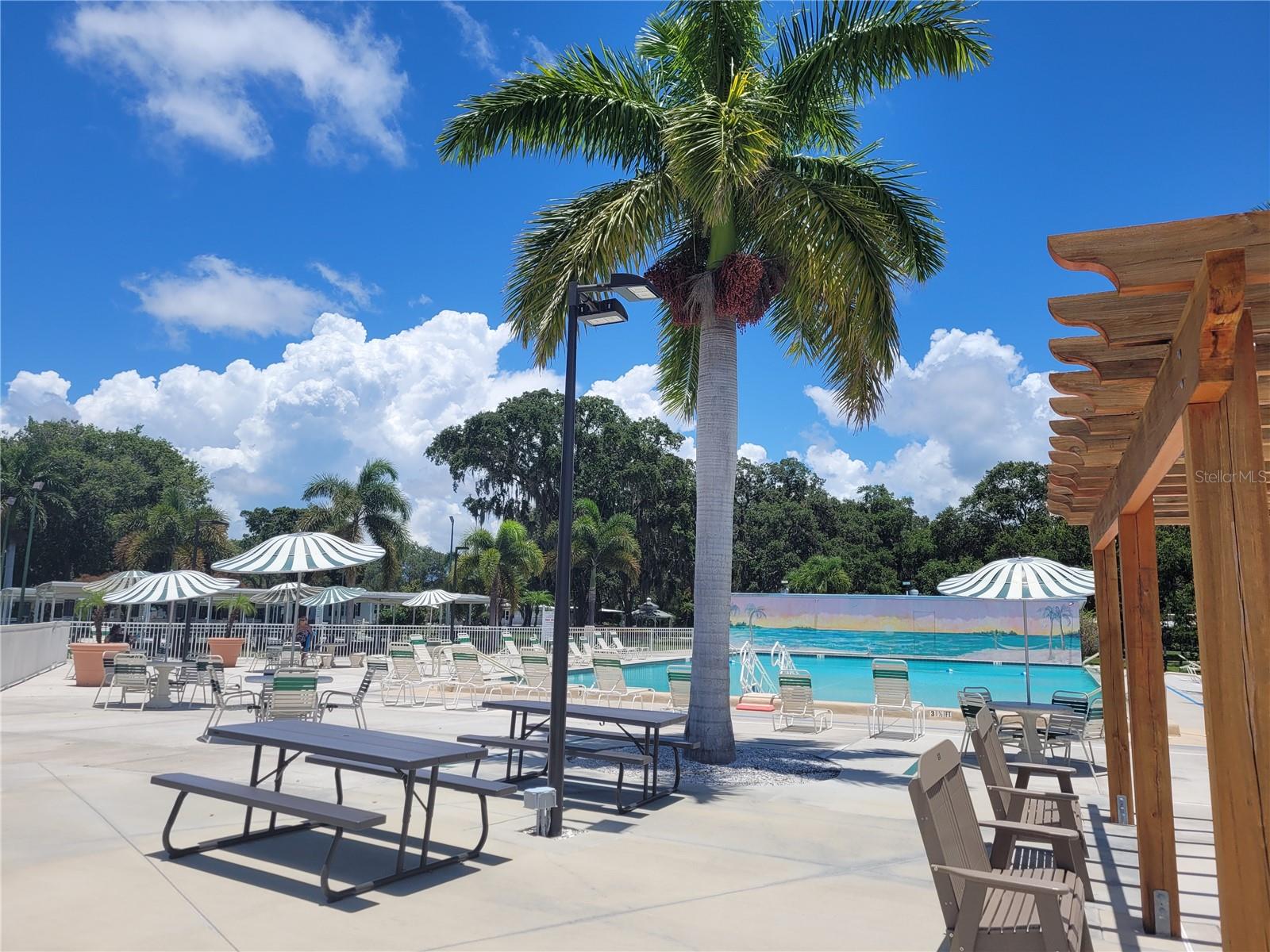 3332 Spanish Oak Ter, Sarasota, FL 34237 — photo 10 of 31