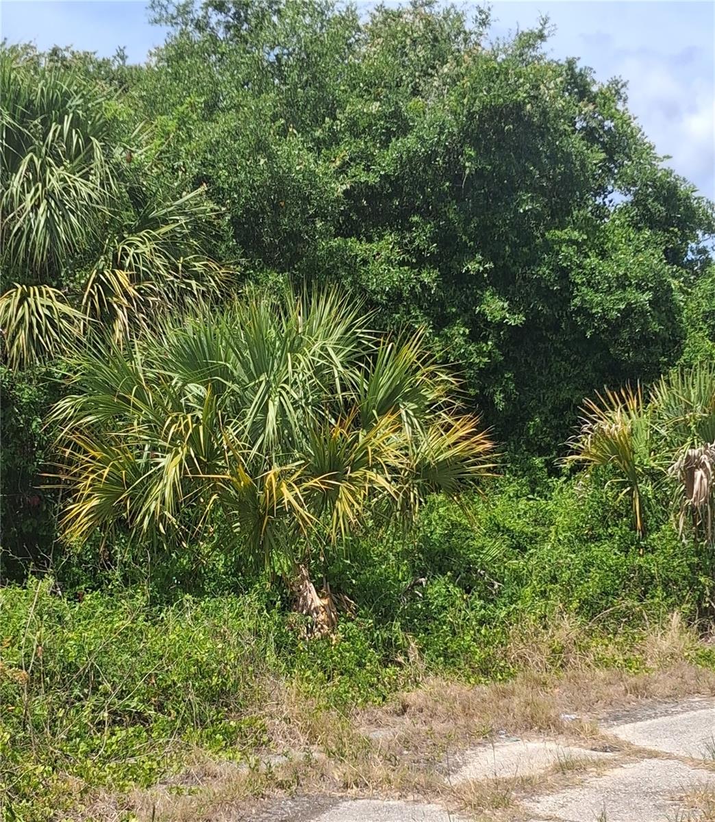 N Holloway Ave, North Port, FL 34288 · MLS# C7520193 — photo 1 of 1
