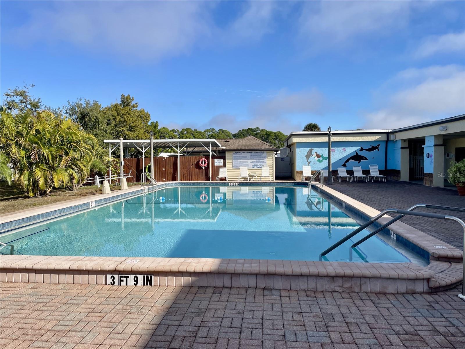Large Pool
