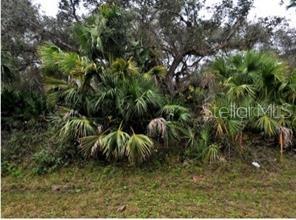 Ocarina Rd, North Port, FL 34291 · MLS# A4678798 — photo 1 of 1