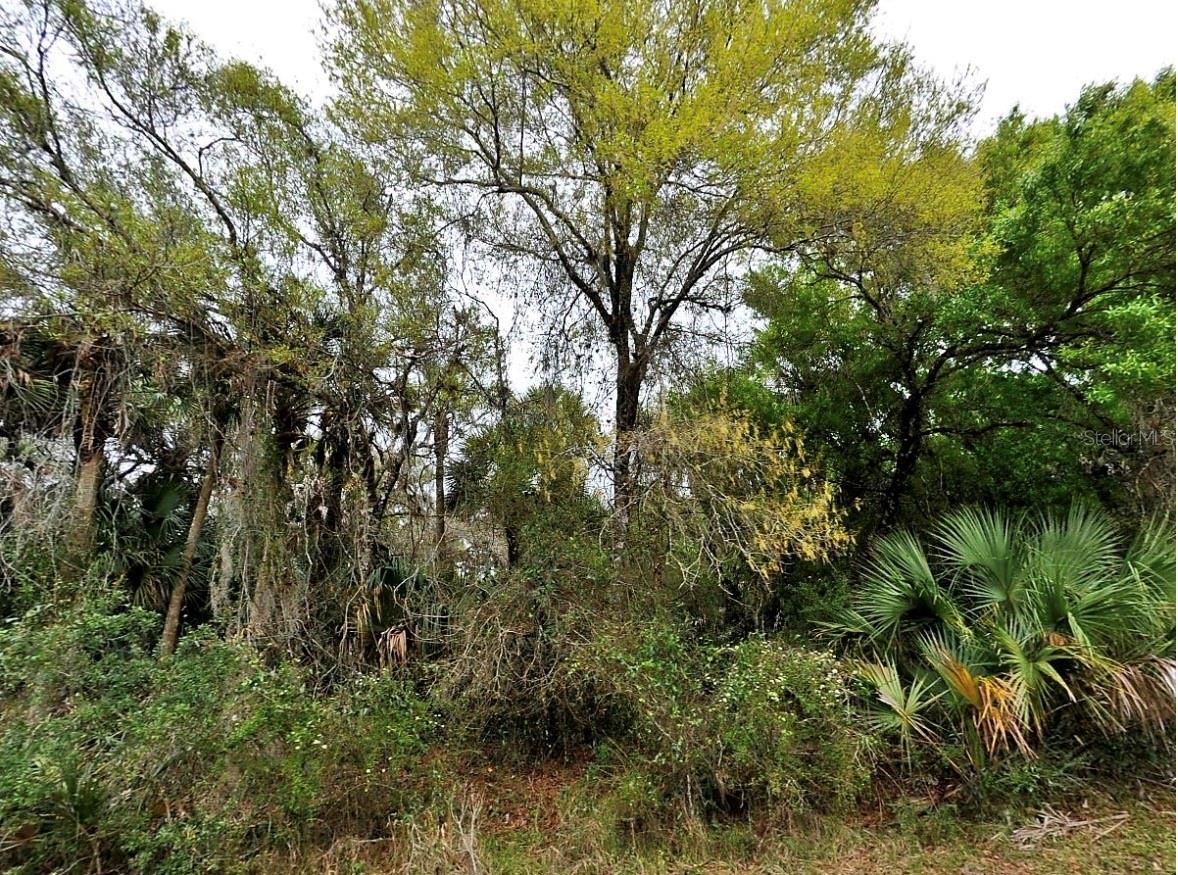 Backert Rd., North Port, FL 34291 · MLS# A4678814 — photo 1 of 1
