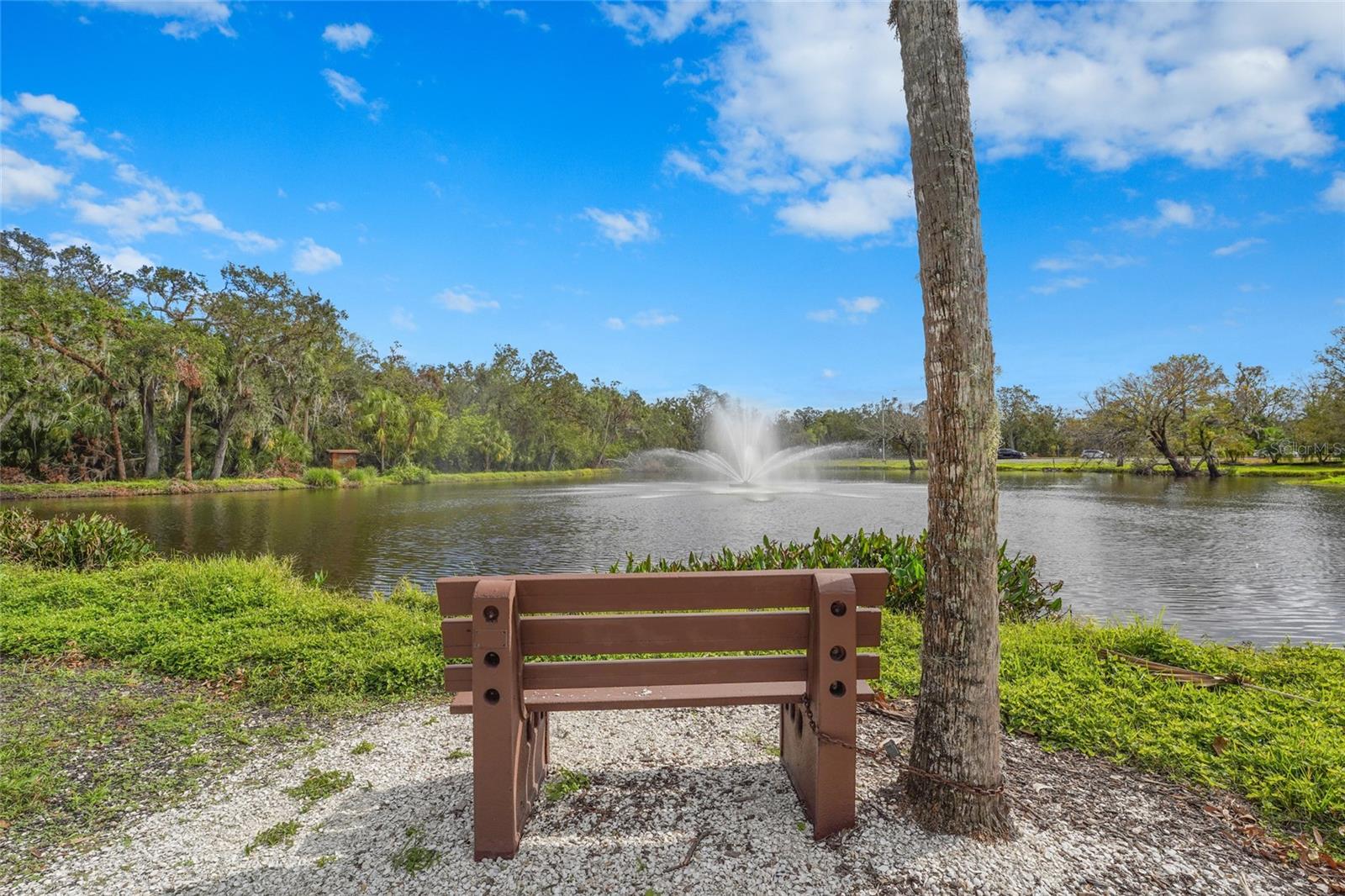 3350 W Chelmsford Ct #13, Sarasota, FL 34235 — photo 58 of 73