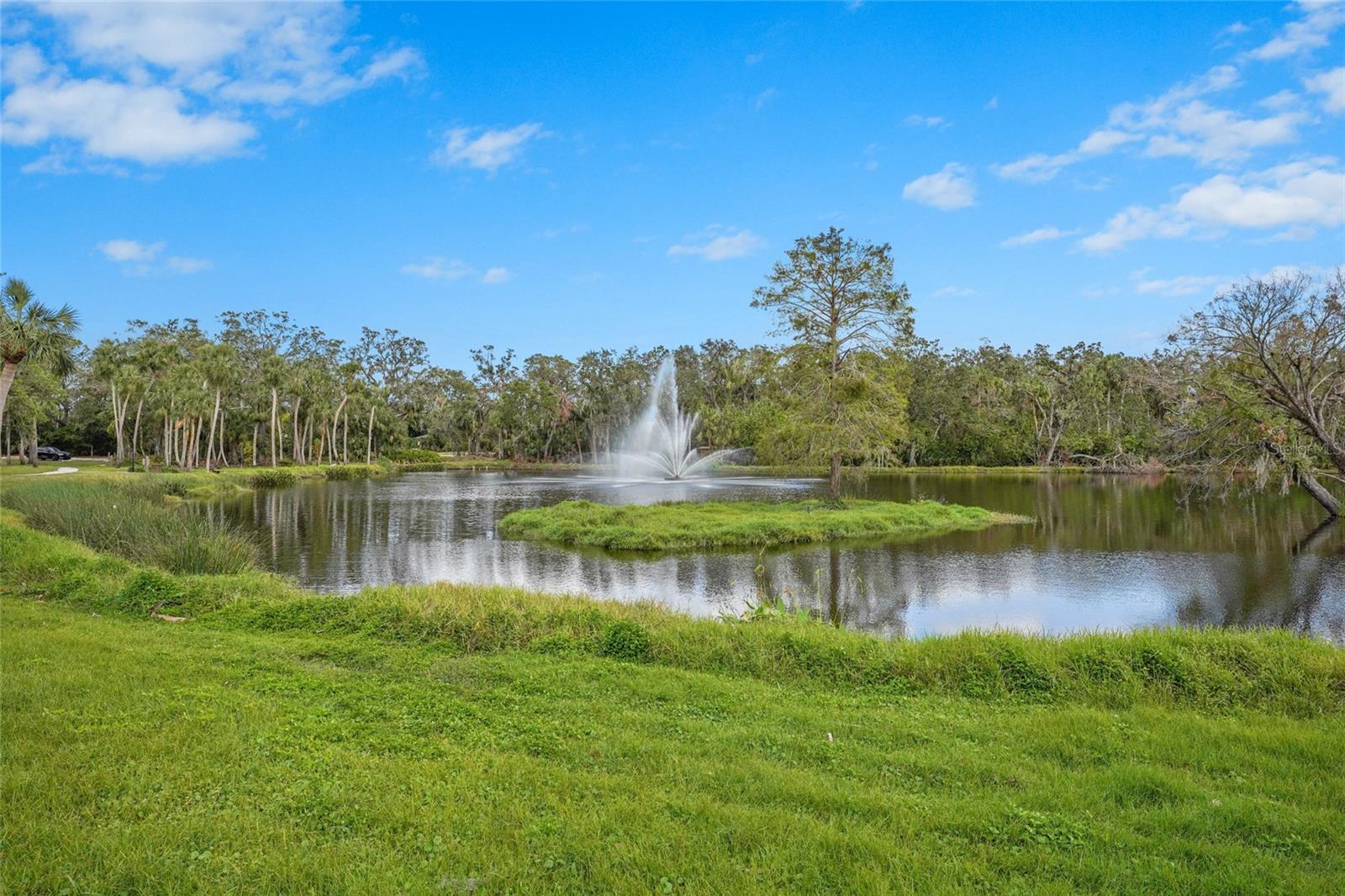 3350 W Chelmsford Ct #13, Sarasota, FL 34235 — photo 59 of 73