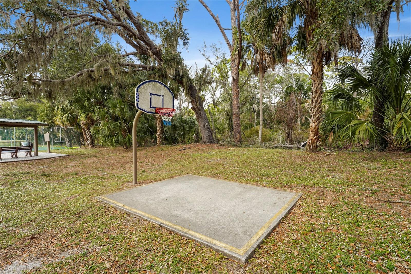 3350 W Chelmsford Ct #13, Sarasota, FL 34235 — photo 65 of 73