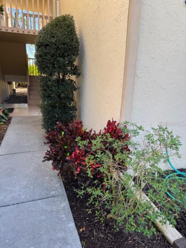 Sidewalk to front door