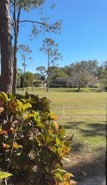 Golf Course View outside the back lanai doors