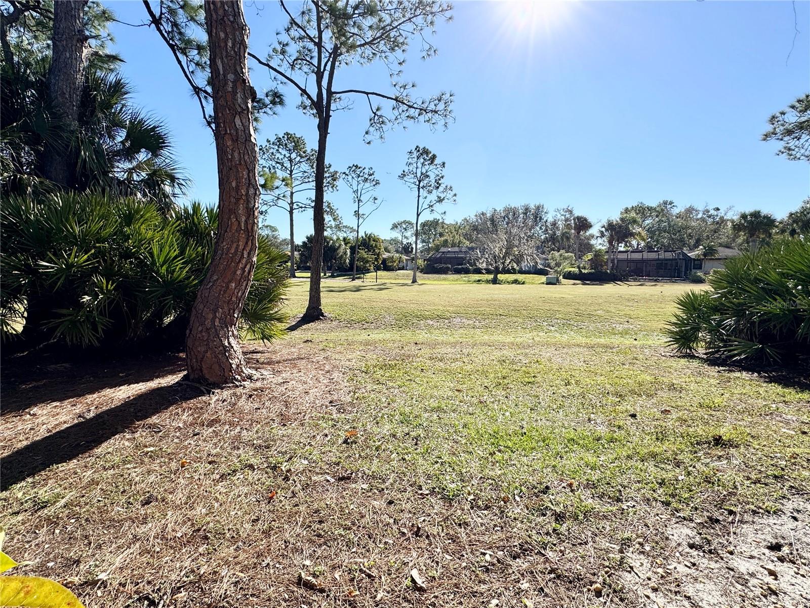 Backyard area
