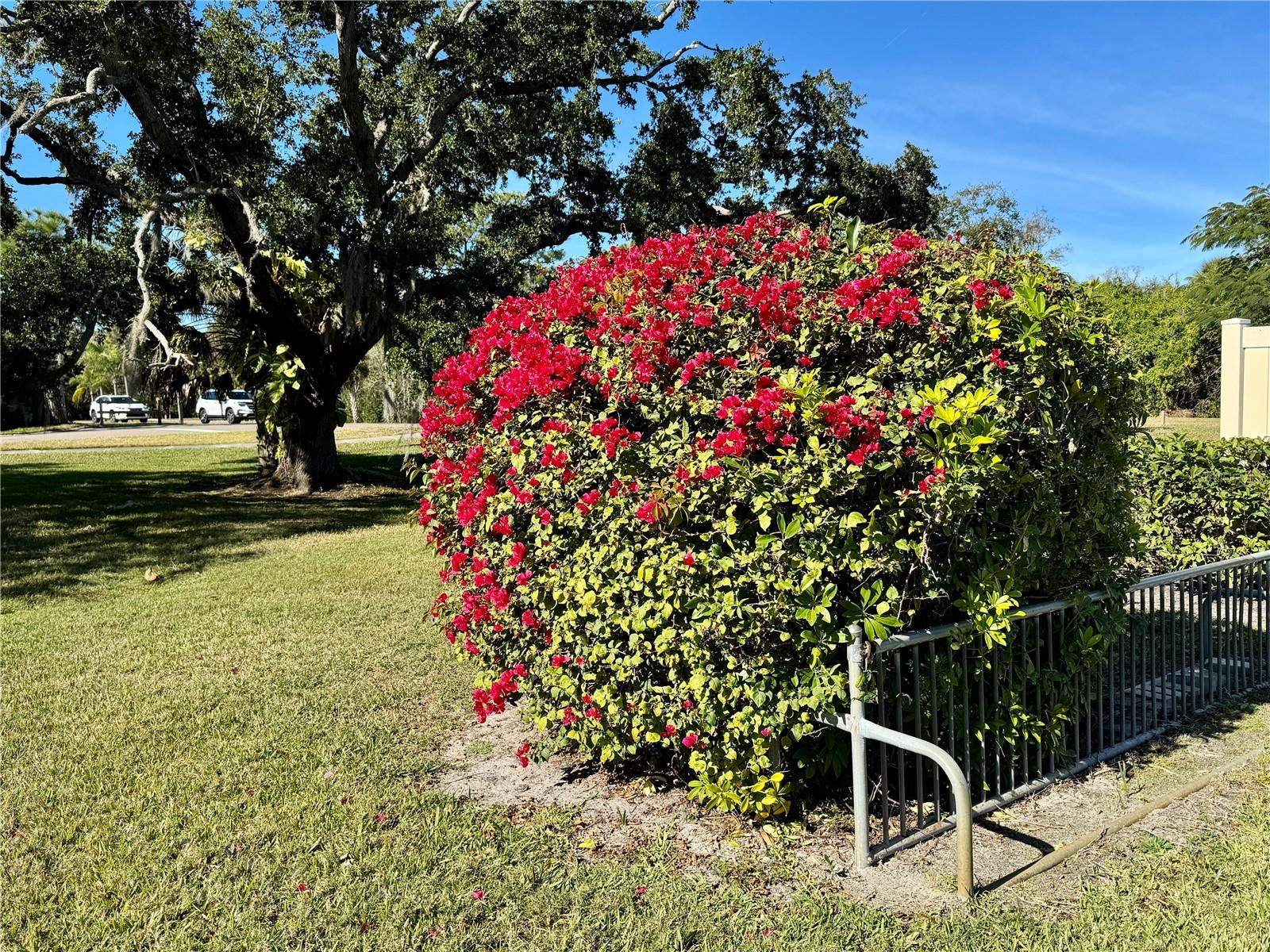 Bike Rack