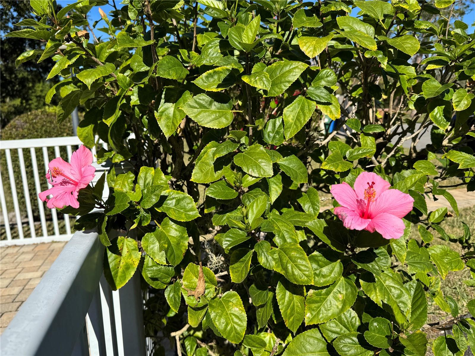 5124 Harpers Croft #7, Sarasota, FL 34235 — photo 52 of 57