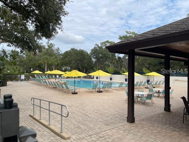 Jr Olympic Pool offered by The Meadows