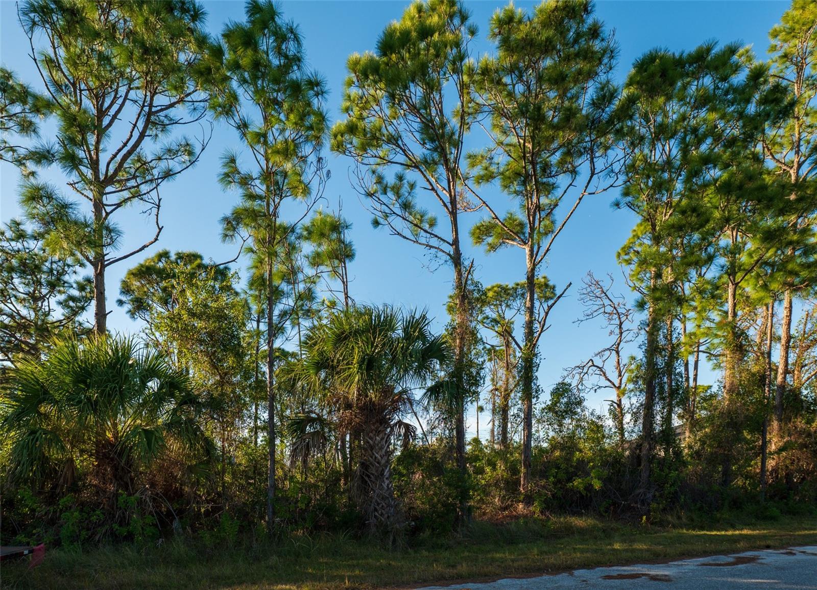 8281 Dimstead St., Port Charlotte, FL 33981 — photo 1 of 1