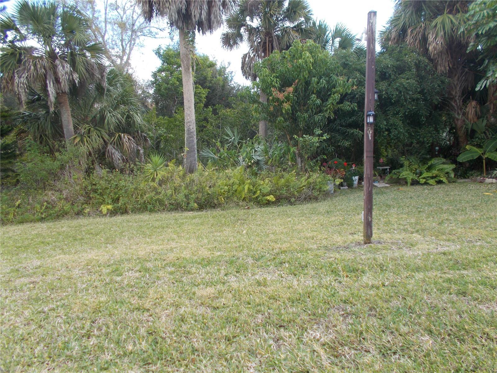 Yard