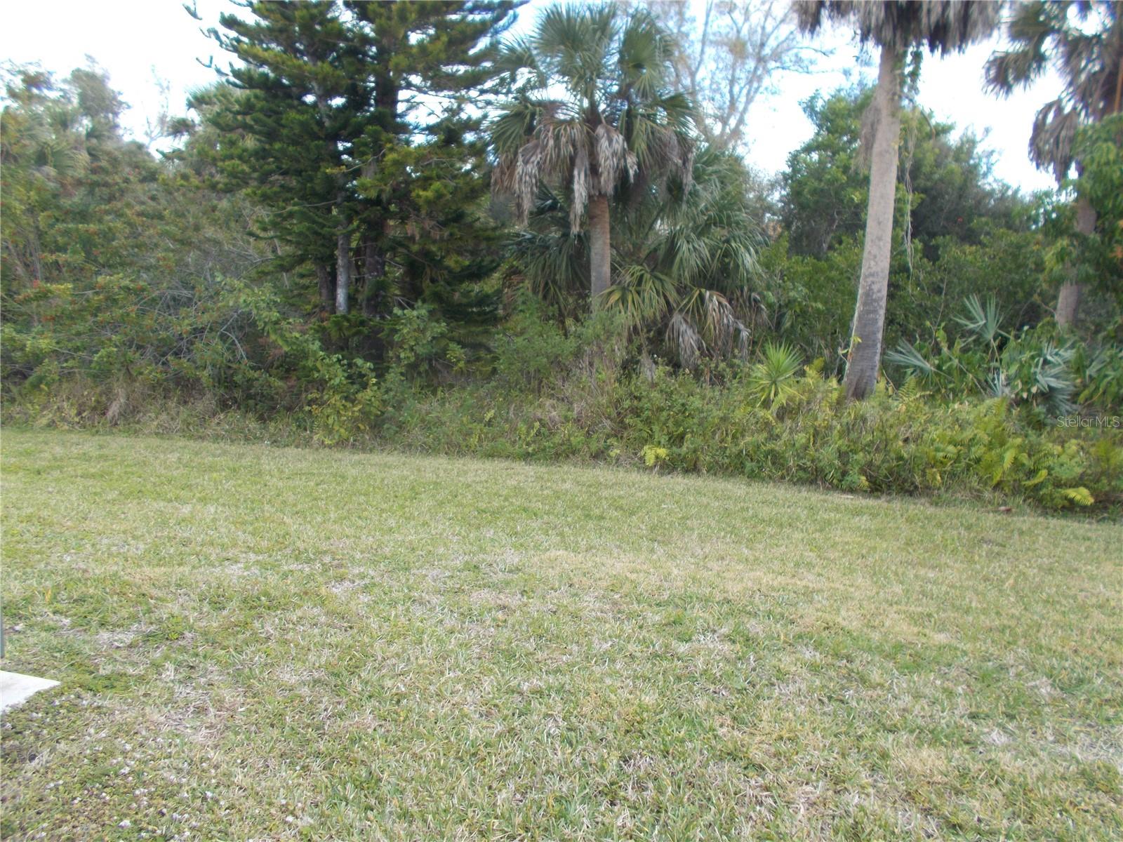 Yard