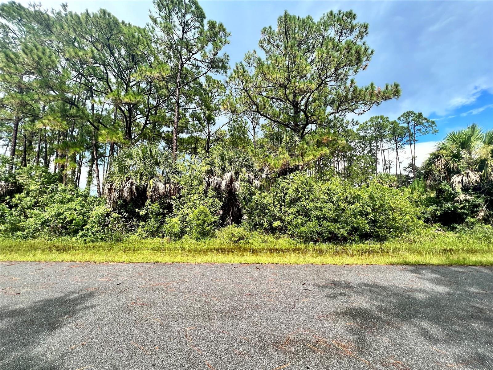 420 Bonsell Ln, Port Charlotte, FL 33953 — photo 1 of 1