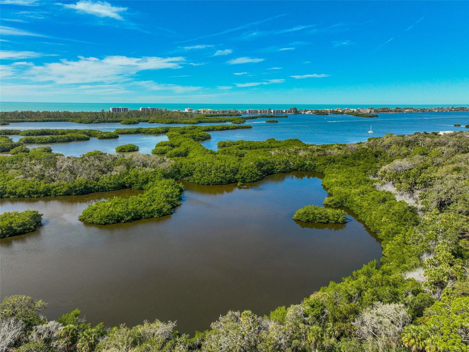 401 N Point Rd #1001, Osprey, FL 34229 — photo 35 of 60