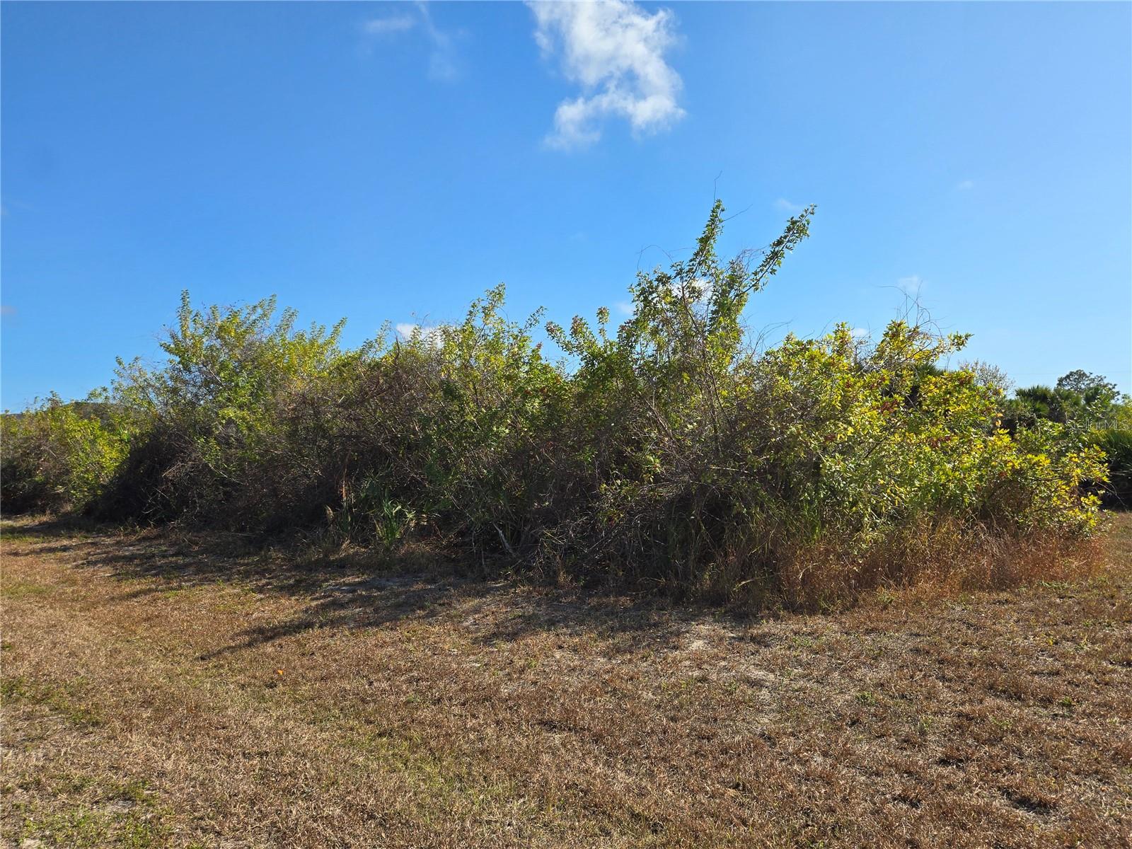 277 Baytree Dr