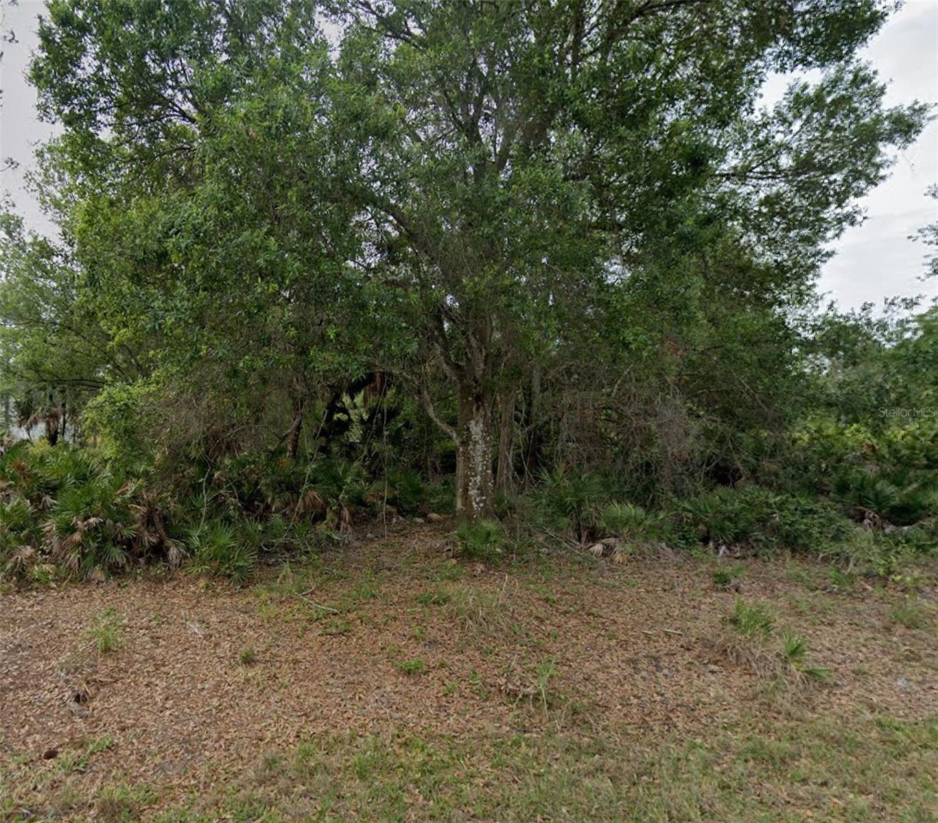 23469 Winthrob Ave