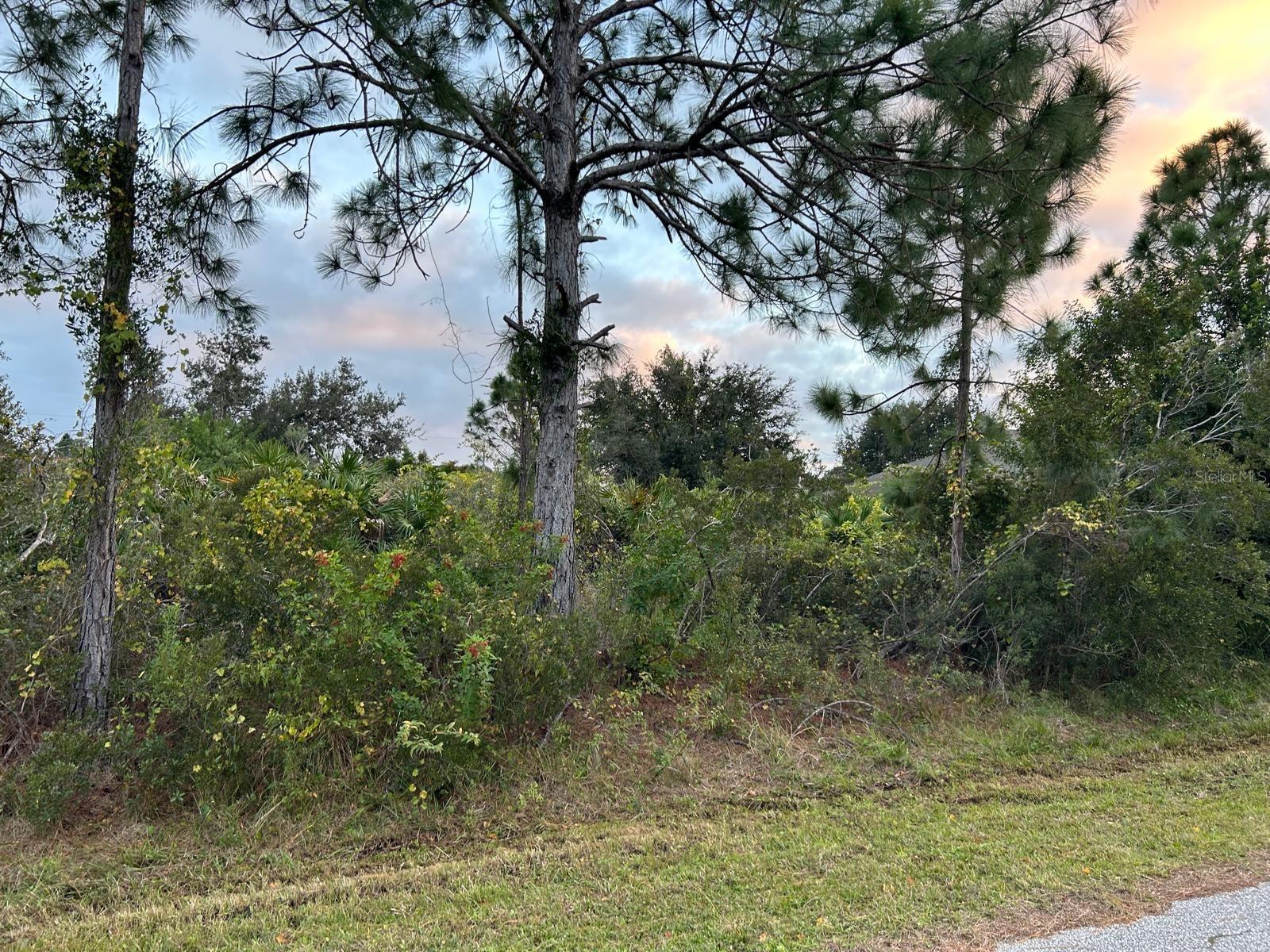 6806 Ohio Rd, North Port, FL 34291 — photo 1 of 1