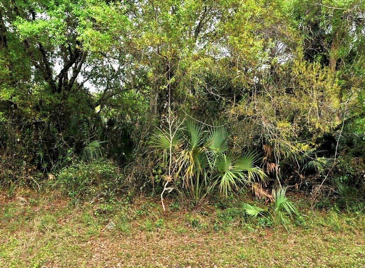 Backert Rd., North Port, FL 34291 · MLS# A4680718 — photo 1 of 1