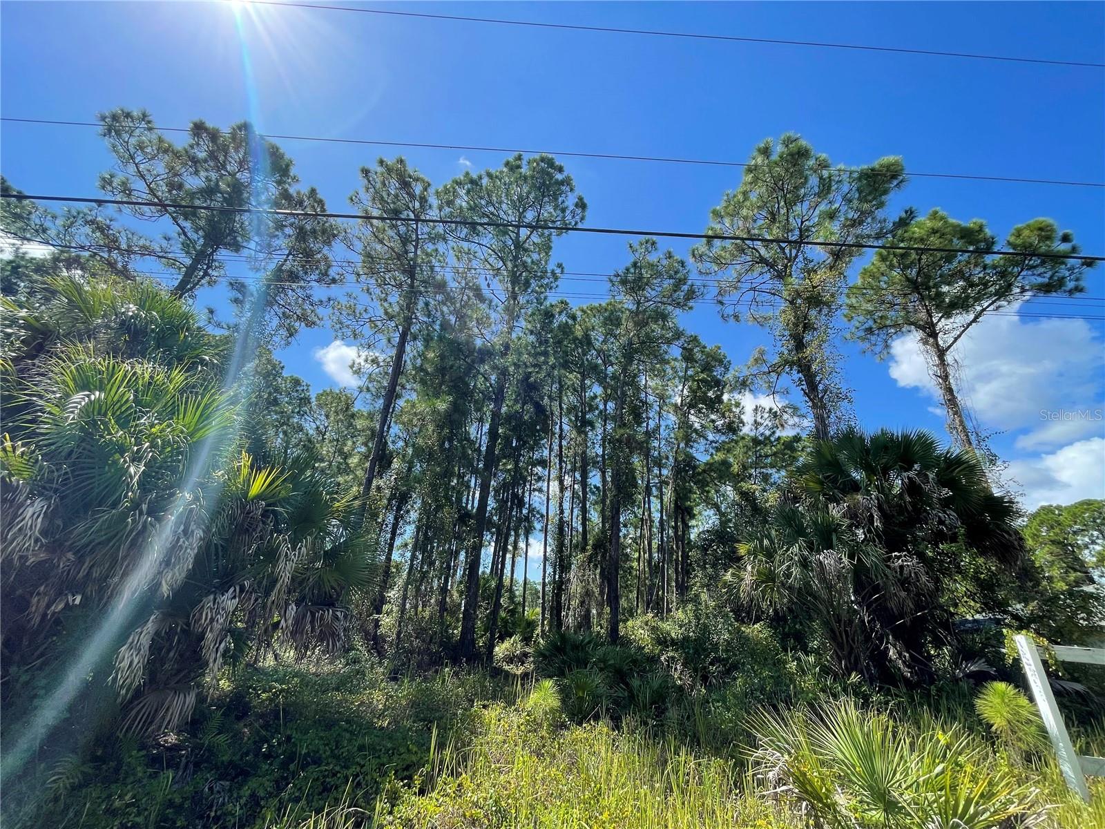 Noppenberg Ave #lot 30, North Port, FL 34288 · MLS# A4681053 — photo 1 of 1