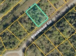 Blackwood Cir, North Port, FL 34288 · MLS# A4681107 — photo 1 of 1