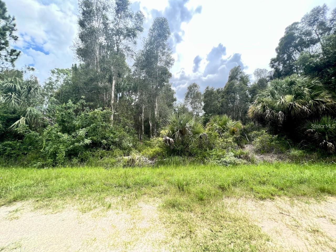 12593 Gucci Dr, Punta Gorda, FL 33955 — photo 1 of 1