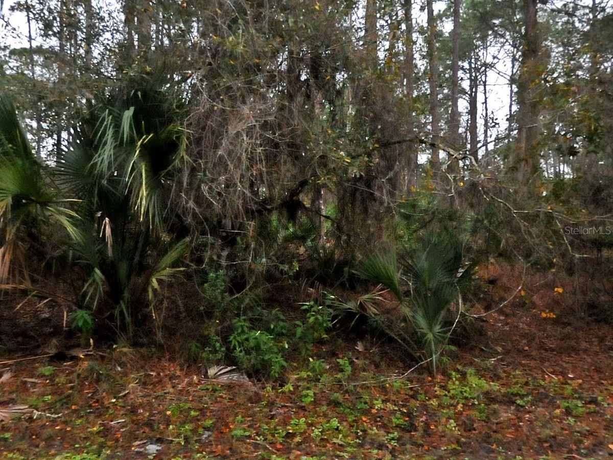 Neon Ave, North Port, FL 34291 · MLS# A4681878 — photo 1 of 1