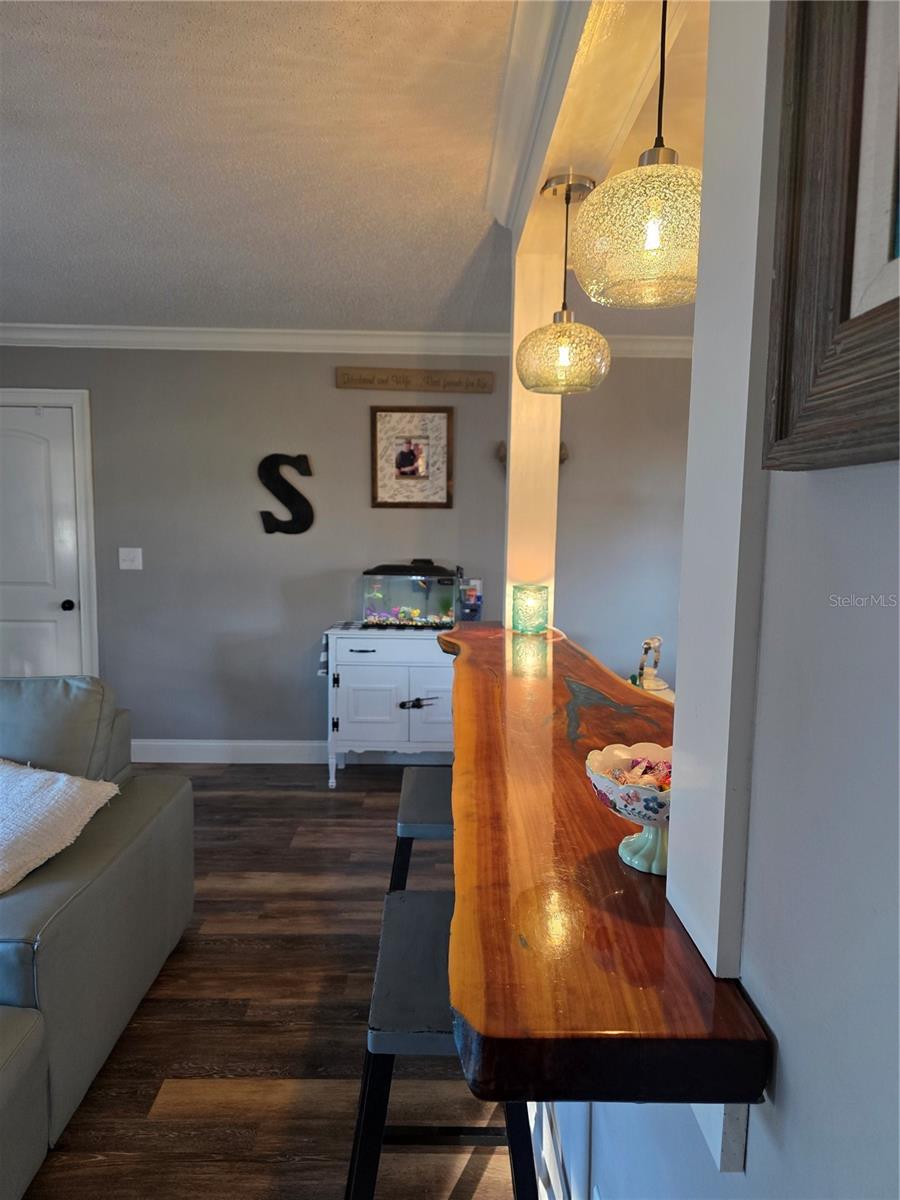 Kitchen bar/counter
